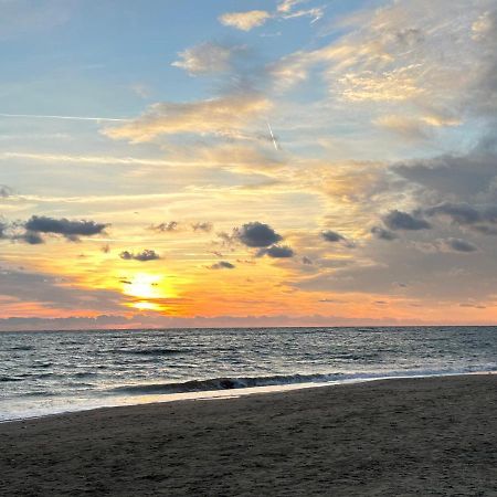 Attico Al Mare Apartment ลิโด ดิ ออสเตีย ภายนอก รูปภาพ